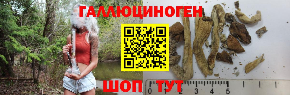 Псилоцибиновые грибы мухоморы  Вход с VPN  Мурино  Галлюциногенные грибы MAGIC MUSHROOMS 